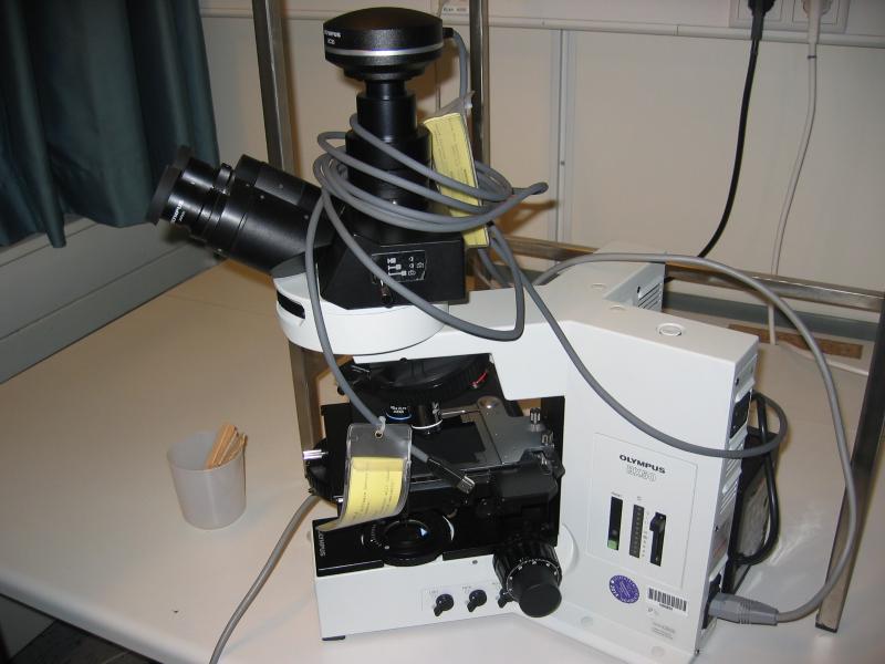 Olympus BX 50 F3 Microscopio