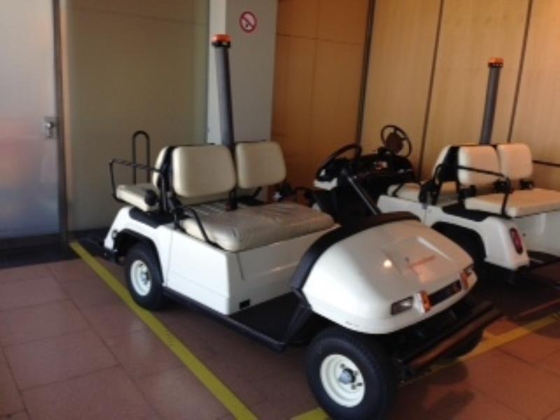 Columbia ParCar Electric golf carts (converted for passenger transportation)