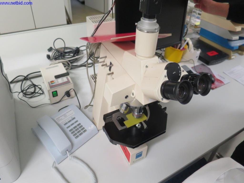 Zeiss Axioskop Estereomicroscopio