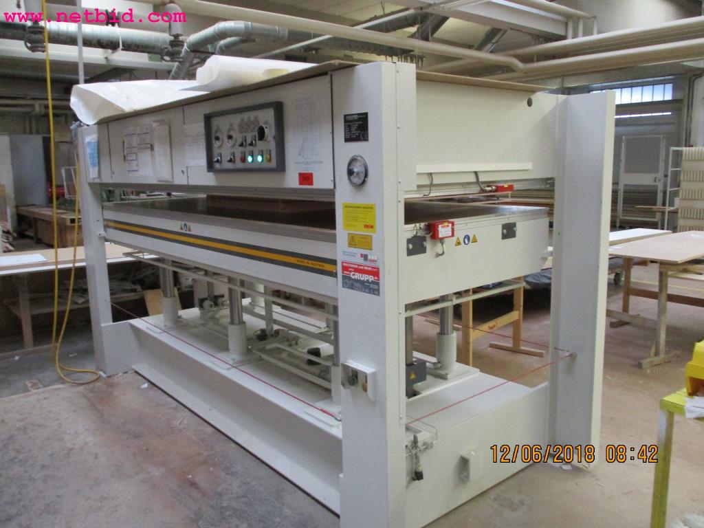 Langzauner LZT-100-SFB hydraulic veneer press