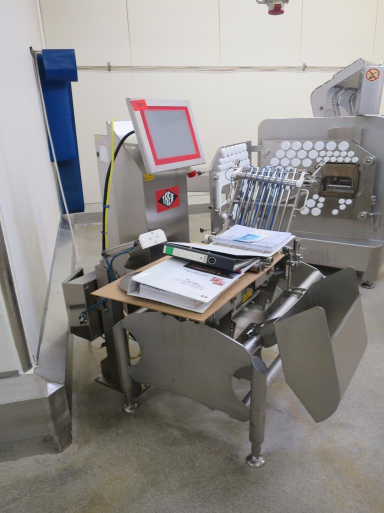 Treif/Mettler Toledo XS3 Continuous checkweigher