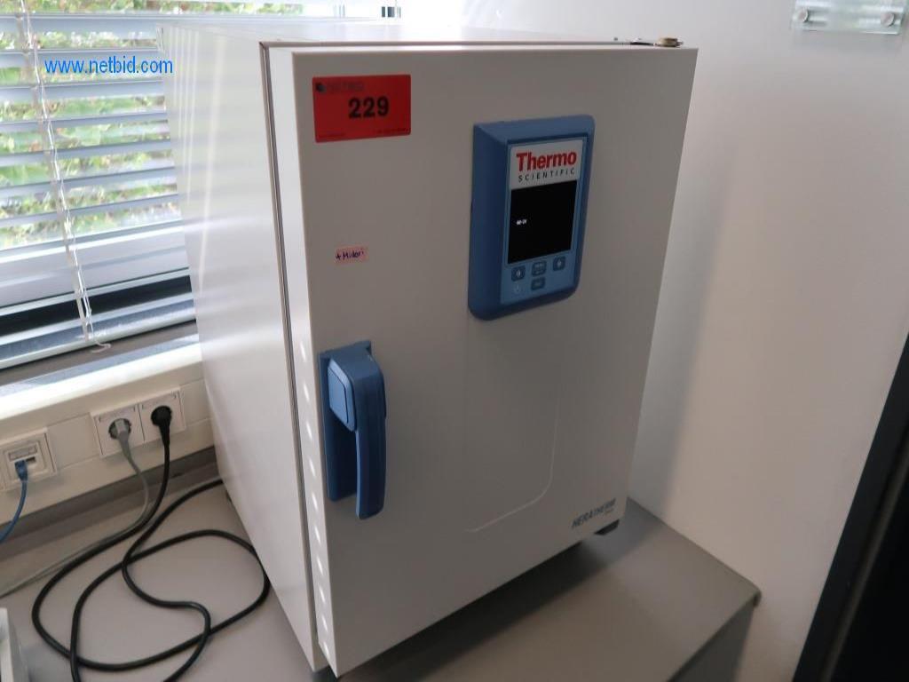 THERMO Fischer Heratherm OGH60 Drying cabinet