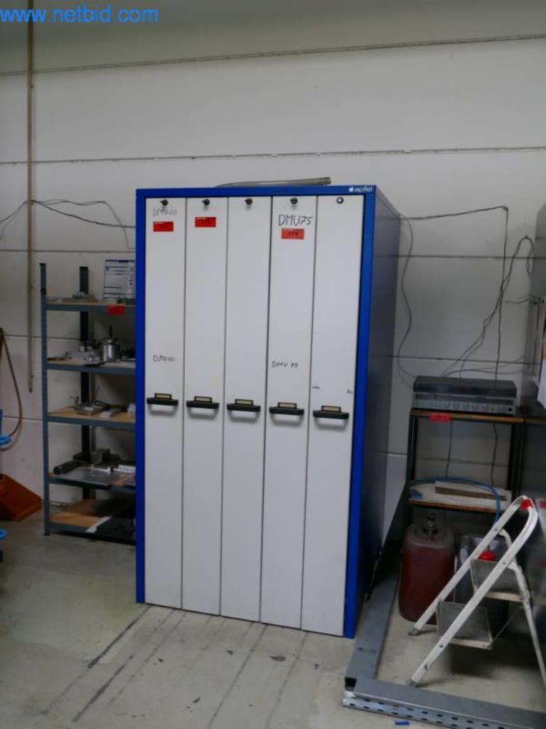 Apfel Tool system cabinet (collection after release)