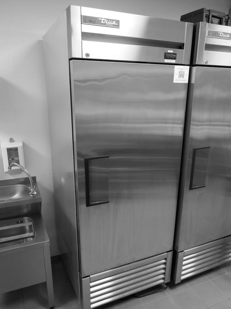 True T-23F-HC-MC Gastro freezer - surcharge with reservation