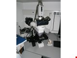Leica Leica DM IRBE  Sistema de microscopio