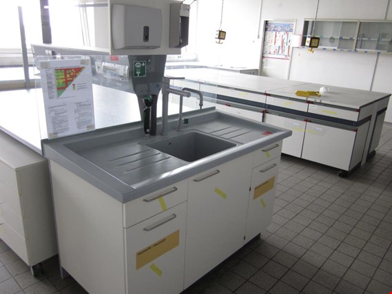 Used laboratory sink for Sale (Auction Premium) | NetBid Industrial Auctions