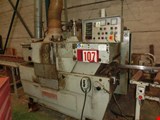 A. Costa multiblade sawing machine (107)