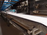 Schaal Belt conveyor system