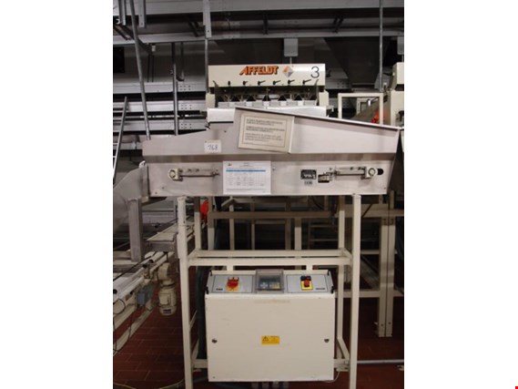 Used Affeldt AVN2126728 bread rolls packaging machine for Sale (Auction Premium) | NetBid Industrial Auctions