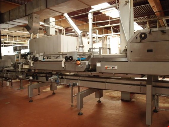 Used Kaak Roll conveyor system for Sale (Auction Premium) | NetBid Industrial Auctions