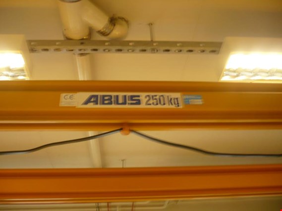 Used ABUS crane runway complete for Sale (Auction Premium) | NetBid Industrial Auctions