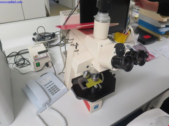 Used Zeiss Axioskop Stereomicroscope for Sale (Auction Premium) | NetBid Industrial Auctions