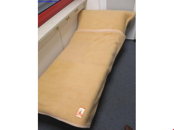Used Sickbed for Sale (Trading Premium) | NetBid Industrial Auctions