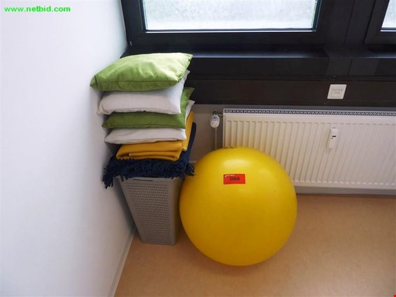 Used Exercise ball for Sale (Trading Premium) | NetBid Industrial Auctions
