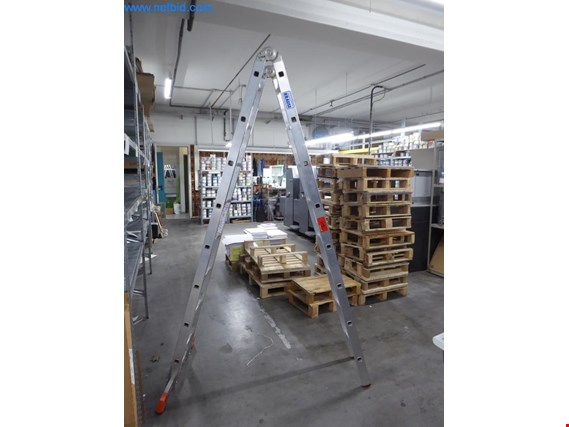 Used Krauss Aluminum folding ladder for Sale (Trading Premium) | NetBid Industrial Auctions