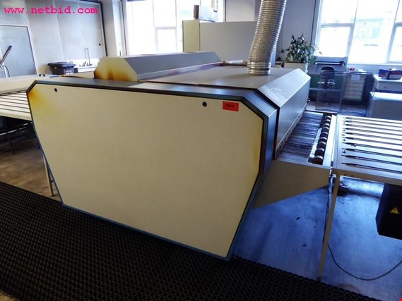 Used Haase 0G15 continuous printing plate furnace for Sale (Auction Premium) | NetBid Industrial Auctions