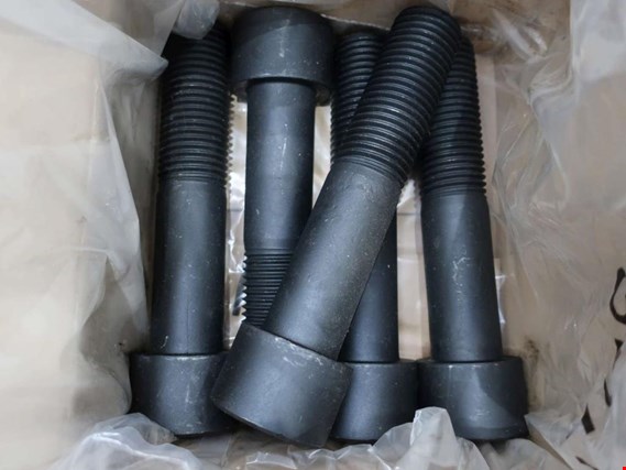 Used 1 Posten Screws (without mesh box) for Sale (Online Auction) | NetBid Industrial Auctions