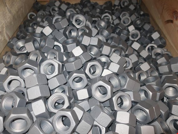 Used M36 ISO4032 10 Oxigard (Blatt) lot nuts for Sale (Trading Premium) | NetBid Industrial Auctions