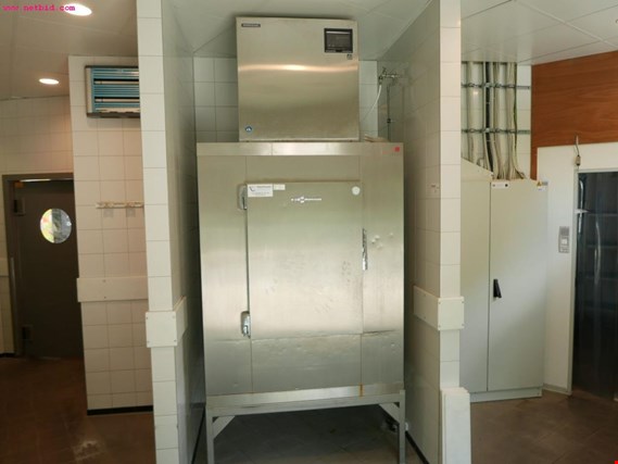 Hoshizaki Hoshizaki ijsmachine met bunker - RVS presentatiemeubel voor crunched ice - Kavel wordt aanboden onder voorbehoud van gunning. gebruikt kopen (Auction Premium) | NetBid industriële Veilingen