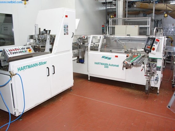 Hartmann SL/30 Snij-/verpakkingsmachine gebruikt kopen (Auction Premium) | NetBid industriële Veilingen