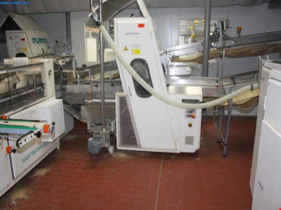 Used Automatic cutting/packaging machine for Sale (Trading Premium) | NetBid Industrial Auctions