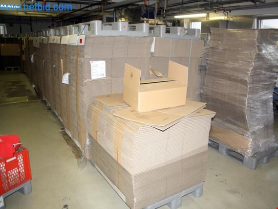 2 Palés con cajas de cartón (Online Auction) | NetBid España