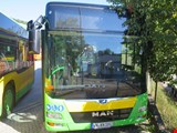 MAN Lion S City Linienomnibus - Zuschlag unter Vorbehalt