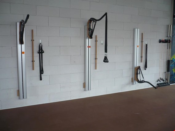 Used Eisenhorn 3 Height-adjustable strength training stations for Sale (Auction Premium) | NetBid Industrial Auctions