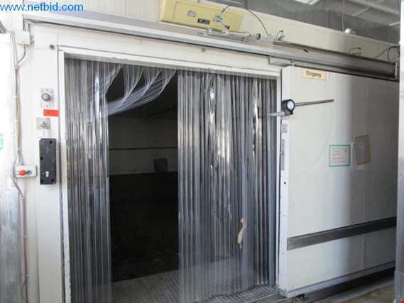 Used Deep-freeze cell for Sale (Trading Premium) | NetBid Industrial Auctions