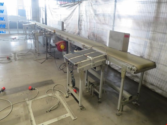 Used Belt conveyor system for Sale (Trading Premium) | NetBid Industrial Auctions