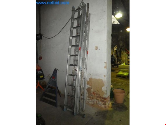 3 Aluminium ladders gebruikt kopen (Auction Premium) | NetBid industriële Veilingen