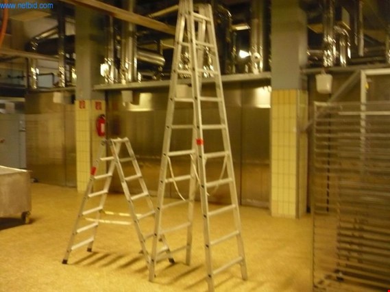 2 Aluminium vaste ladders gebruikt kopen (Auction Premium) | NetBid industriële Veilingen