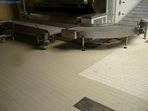 Used Apeltrath Conveyor line for Sale (Online Auction) | NetBid Industrial Auctions