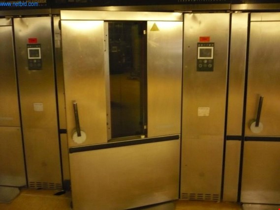 Used Werner & Pfleiderer Rototherm REC1280 Rack oven for Sale (Auction Premium) | NetBid Industrial Auctions