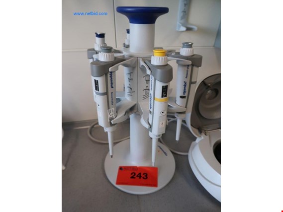 Used EPPENDORF Rotary pipette stand (1) for Sale (Auction Premium) | NetBid Industrial Auctions