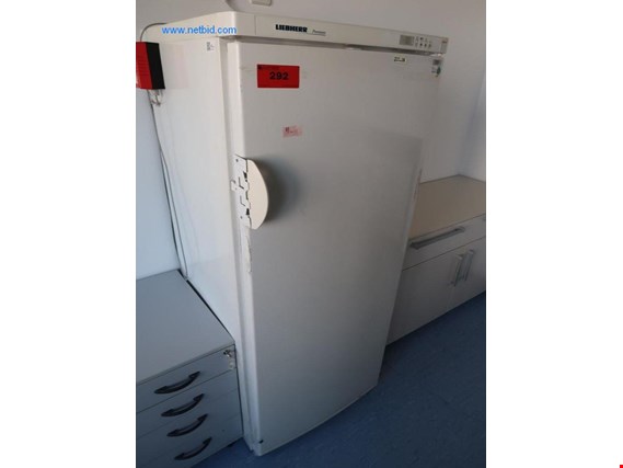 Liebherr Premium Tiefkühlschrank gebraucht kaufen (Auction Premium) | NetBid Industrie-Auktionen