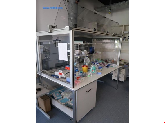 Used Laboratory fume cupboard for Sale (Auction Premium) | NetBid Industrial Auctions