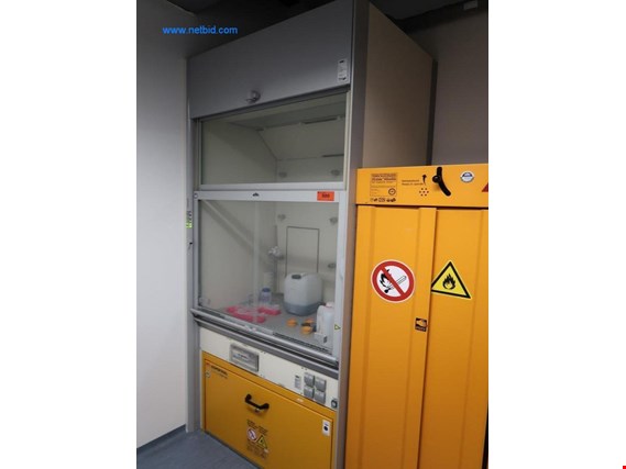 Used Waldner Fume cupboard for Sale (Auction Premium) | NetBid Industrial Auctions