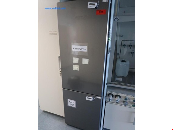 Liebherr Combinación frigorífico/congelador (Auction Premium) | NetBid España