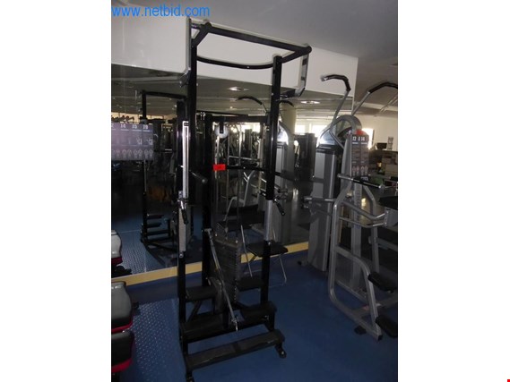 Used Nautilus Pull-up training device for Sale (Trading Premium) | NetBid Industrial Auctions