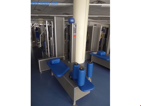 Used Nautilus Hip flexion training device (A2) for Sale (Auction Premium) | NetBid Industrial Auctions