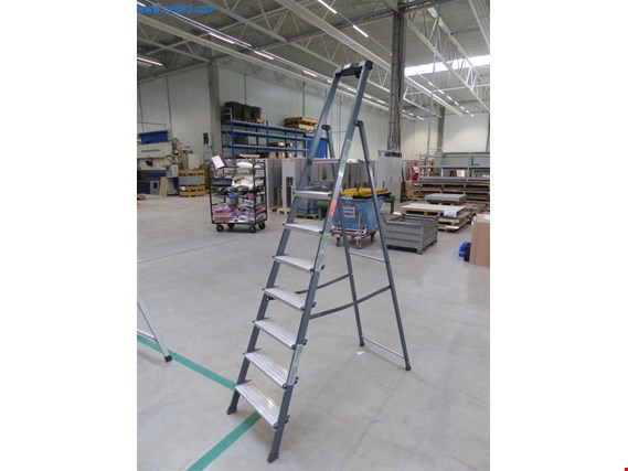 Krause Aluminum folding ladder (Auction Premium) | NetBid ?eská republika