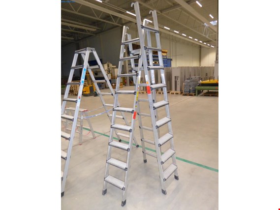 2 Verstelbare ladders gebruikt kopen (Auction Premium) | NetBid industriële Veilingen