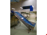 Nunberger WF1000 Feeding conveyor belt