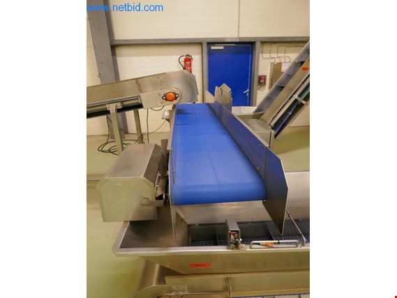 Used Turatti 6178.001.100.00 Belt conveyor line for Sale (Auction Premium) | NetBid Industrial Auctions