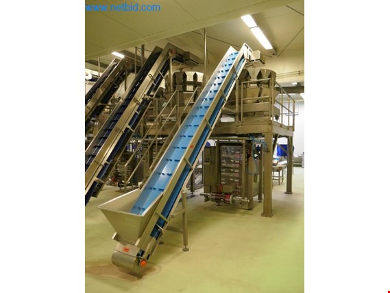 Ammerall Beltech Elovator gebraucht kaufen (Auction Premium) | NetBid Industrie-Auktionen