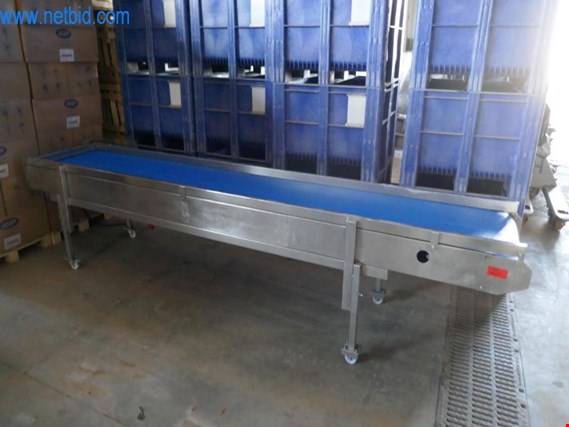 Electric belt conveyor gebruikt kopen (Auction Premium) | NetBid industriële Veilingen