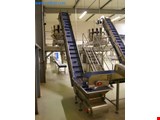 Feldsalatverpackungsmaschine (2)