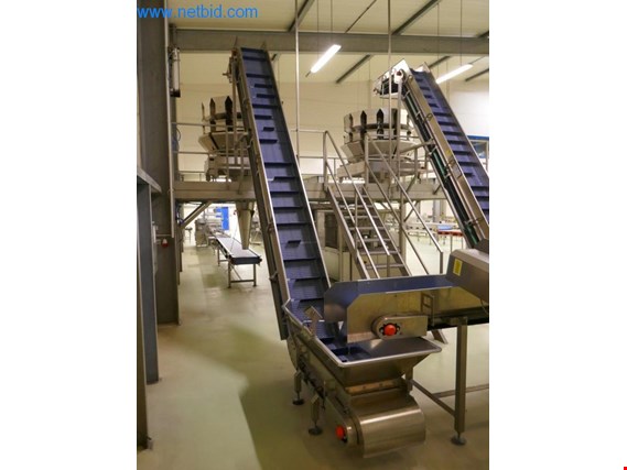 Field lettuce packing machine (2) gebruikt kopen (Trading Premium) | NetBid industriële Veilingen