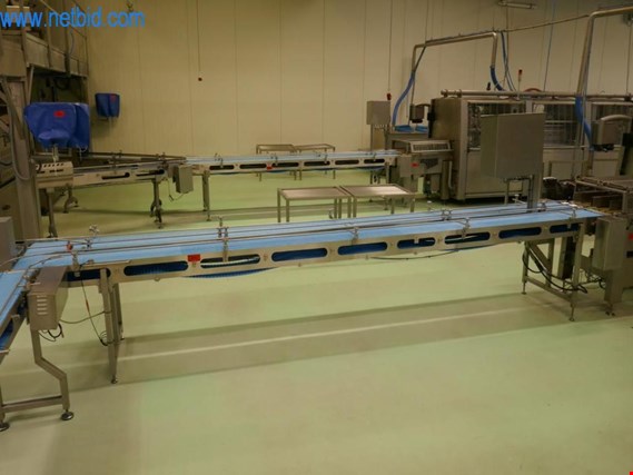 Used Doppelkettenförderband for Sale (Trading Premium) | NetBid Industrial Auctions